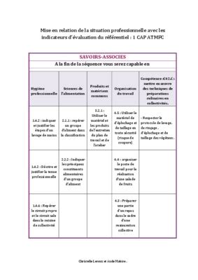 Mise En Situation Professionnelle Cqp Aps Pdf Notice Manuel D Utilisation