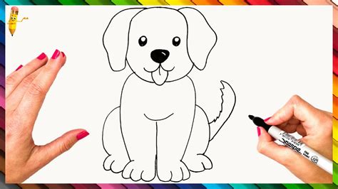 draw  dog step  step dog drawing easy youtube