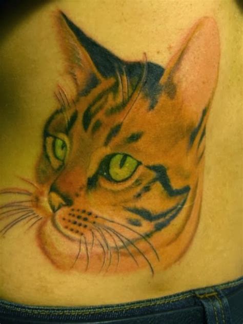 Free Amazing Styles Pussy Cat Tattoo Design Idea Images Pictures