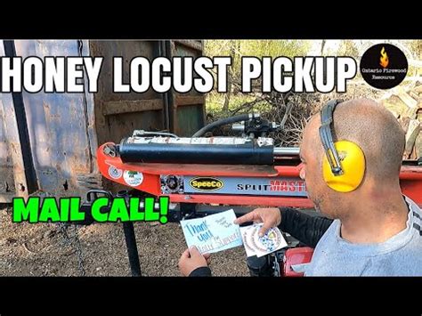 MAIL CALL HONEY LOCUST PICKUP WOOD PILE REDUCTION FIREWOOD YouTube