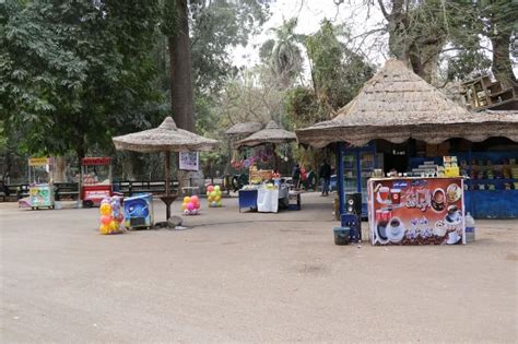 Pin By Samaa Alaa On El Giza Zoo Outdoor Gazebo Outdoor Structures