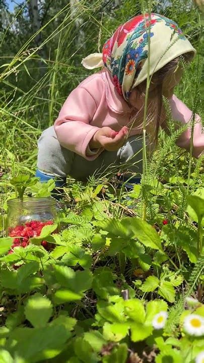 Собираю ягодки #ЯжеВика - YouTube