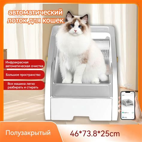 Туалет для животных купить на OZON по низкой цене (1859376497)