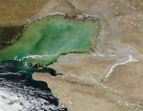 MODIS Web