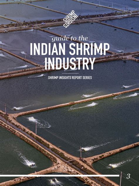 Shrimp Insights Guide To The Indian Shrimp Industry (Spreads) | PDF ...