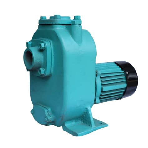 Self Priming Mud Pump At Rs 8000 Sewage Submersible Pump In Ahmedabad