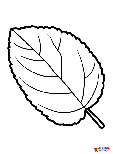 Apple Tree Leaf Coloring Page Free Printable Coloring