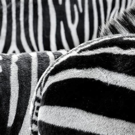 stripes group seeking     fund iv  quick fundraising