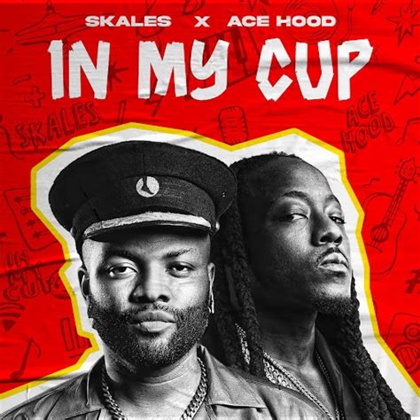 Skales In My Cup Ft Ace Hood Lyrics Afrikalyrics