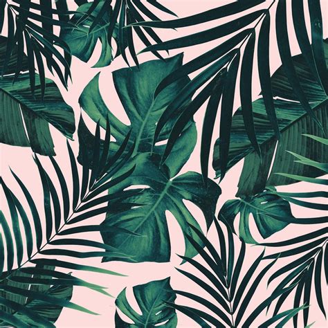 Jungle Leaves Wallpapers Top Free Jungle Leaves Backgrounds