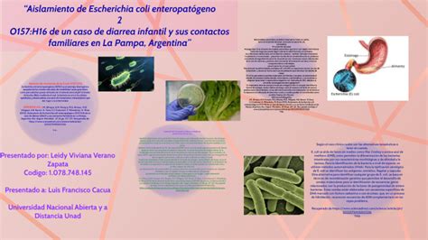 Aislamiento De Escherichia Coli Enteropat Geno O H De Un Caso