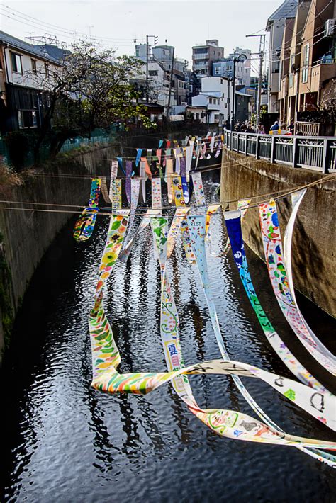 川のギャラリー 全景 by りんむう （ID：8488400） - 写真共有サイト:PHOTOHITO