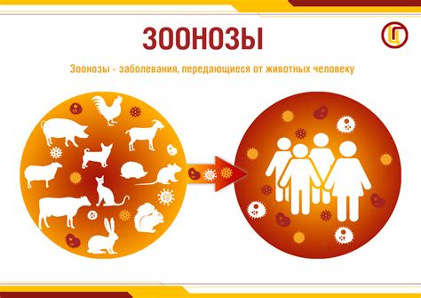 Зоонозы