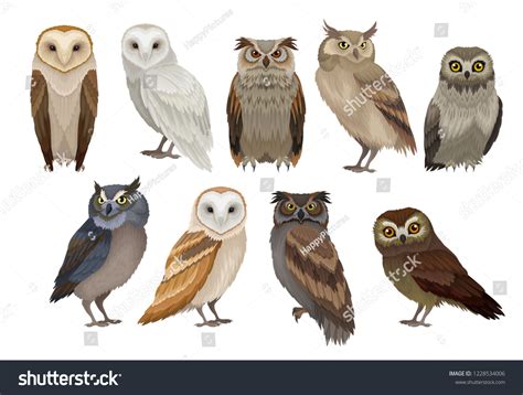 434822 Owl Images Stock Photos And Vectors Shutterstock