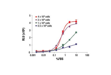 Brdu Cell Proliferation Chemiluminescent Assay Kit 5492 Datasheet