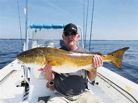 Red Drum Coastal Angler And The Angler Magazine