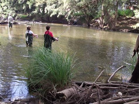 Best fishing spots in NSW | Reflections Holidays