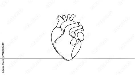 Single Continuous Line Art Anatomical Human Heart Silhouette Healthy