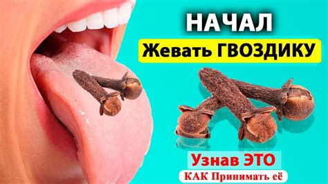 КАК И СКОЛЬКО ЕСТЬ ГВОЗДИКИ В ДЕНЬ? Кому с осторожностью следует ...