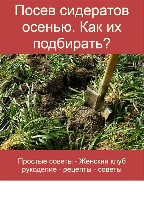 Сад и Дача | Садовые идеи, Сад, Дача