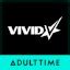 Vivid Porn Videos Pornhub