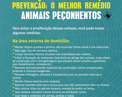 Cuidados Para Evitar Acidentes Animais Pe Onhentos R Dio Diplomata