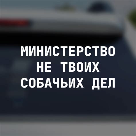 Наклейки на машину в интернет-магазине naklejki-na-avto.ru