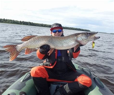 Как с подсаком не попасть впросак?! – рыболовные обзоры | Рыбак abcfishing