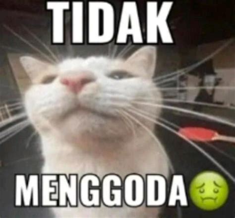 Tidak Menggoda Humor Lucu Gambar Lucu Fakta Lucu