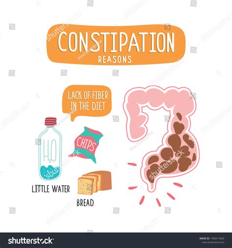190 Defecation Process Images, Stock Photos & Vectors | Shutterstock