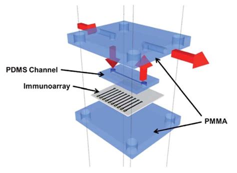 november  lab   chip blog