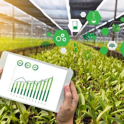 Агротех | Управление по образованию в молодежных интернатах