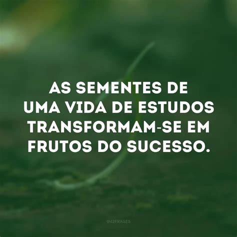 Frases Para Aluno Destaque Librain