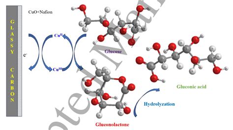 Scheme representation for the mechanism of glucose oxidase through... | Download Scientific Diagram