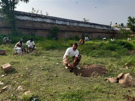 A Tree Central Industrial Security Force Cisf