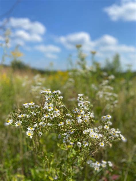Экопарк Бежин луг 21 век 2024 | ВКонтакте