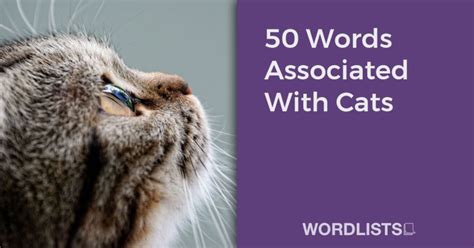 List Of Words With The Suffix Itis