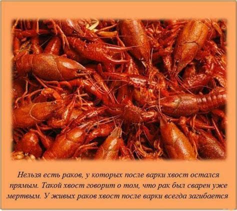 Интересные факты в картинках - ЯПлакалъ