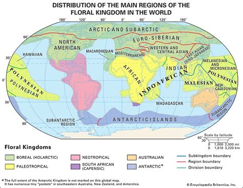 Biogeographic Region Boreal Arctic Taiga Britannica