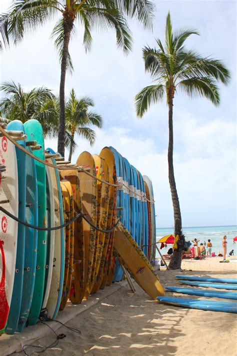What Every Traveler Needs to Know Before Visiting Anonib Hawaii - c945d2t