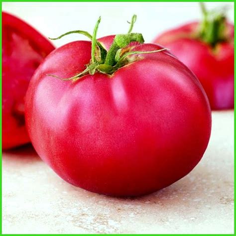 Лучшие голландские сорта томатов для теплиц - Всё про теплицы