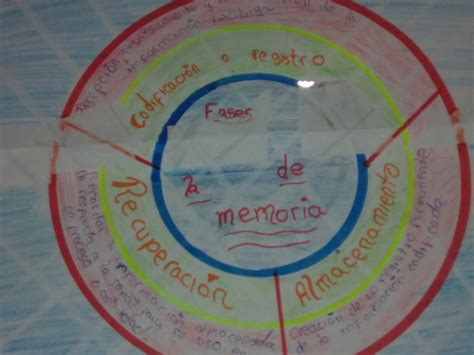 Sabemos Lo Que Somos Pero Nunca Lo Que Podemos Llegar A Ser Fases De