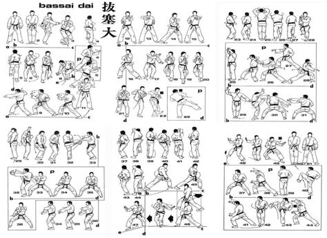 Shotokan Karate Karate Shotokan