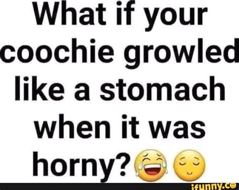 What If Your Coochie Growled Like A Stomach When It Was Horny Ifunny