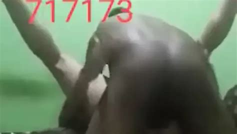 Dindin X Irmao Da Iurd X Pass Mamador Free Gay Porn Da Xhamster