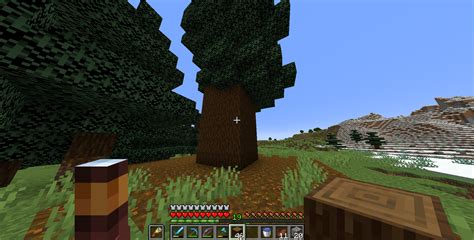 Youve Seen 2x2 Trees But Have You Seen Rminecraft