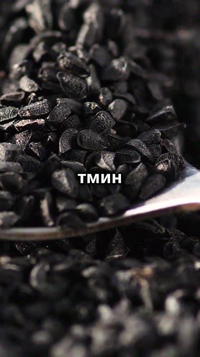 Черный Тмин: Антипаразитарные и Противовоспалительные свойства # ...