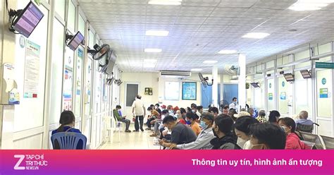 Nhiều người ở TP HCM tổn thương thận vì nhiễm giun đũa chó mèo Bệnh