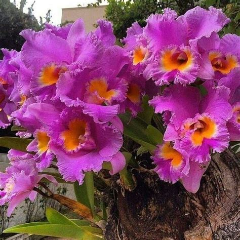 Ki N Th C T Ng H P Kho Hinh Anh Anime Va Si U Ph M Phim Hoat Hinh D Anime Hot Nh T