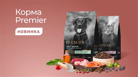 Новинка: сухие корма Premier! | Блог компании Пет-Ит